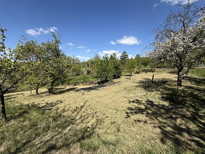 Prodej  zahrady 539 m²