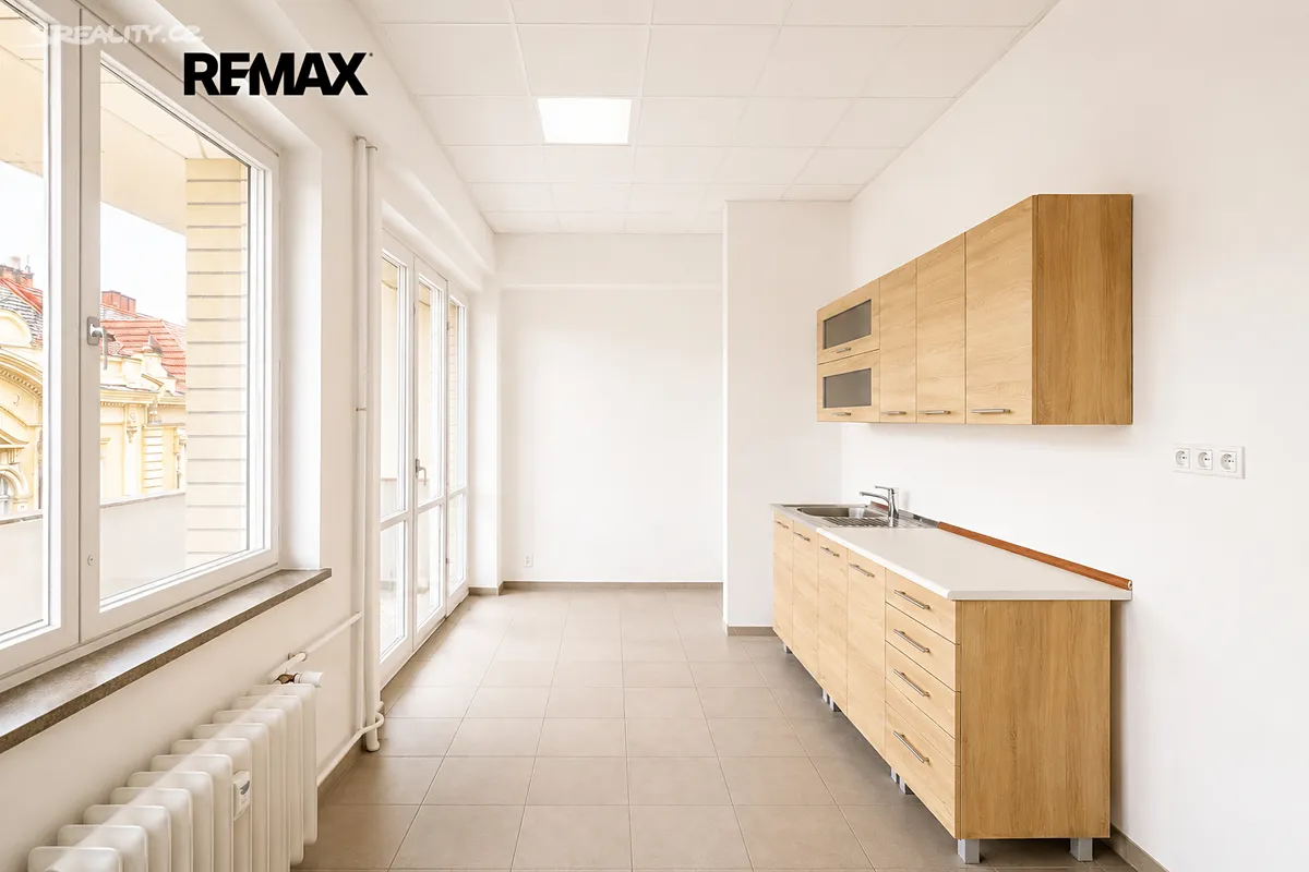 Pronájem bytu 1+1 66 m² – další