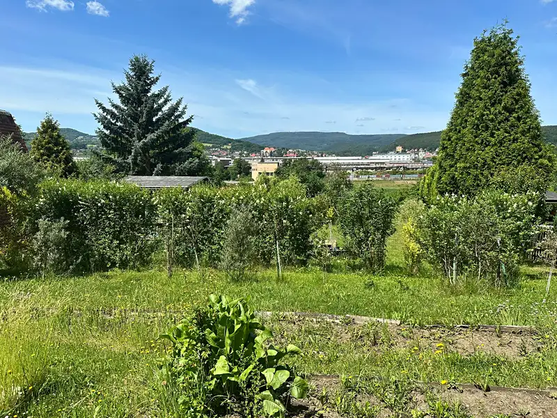 Prodej zahrady 260 m², Děčín – náhled fotky 2