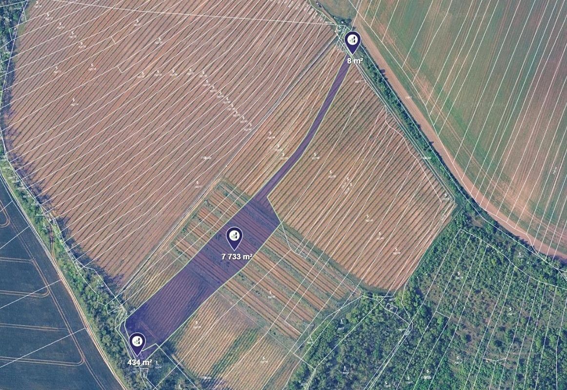 Prodej sadu, vinice 8175 m², Mělčany – fotka 1 z 3