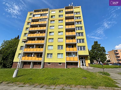 Pronájem bytu 1+1 42 m²