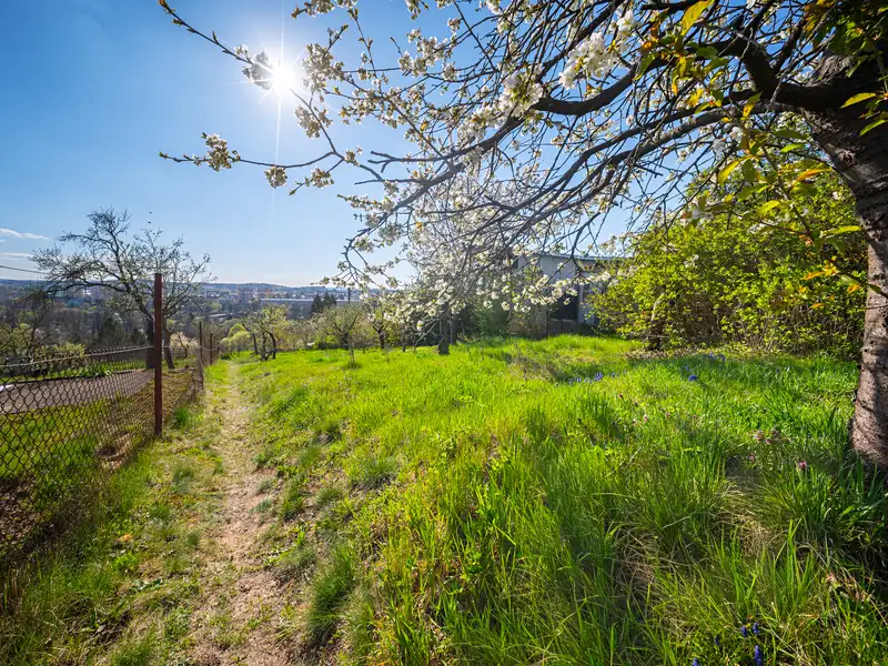 Prodej chaty 14 m², pozemek 725 m², Brno – náhled fotky 1