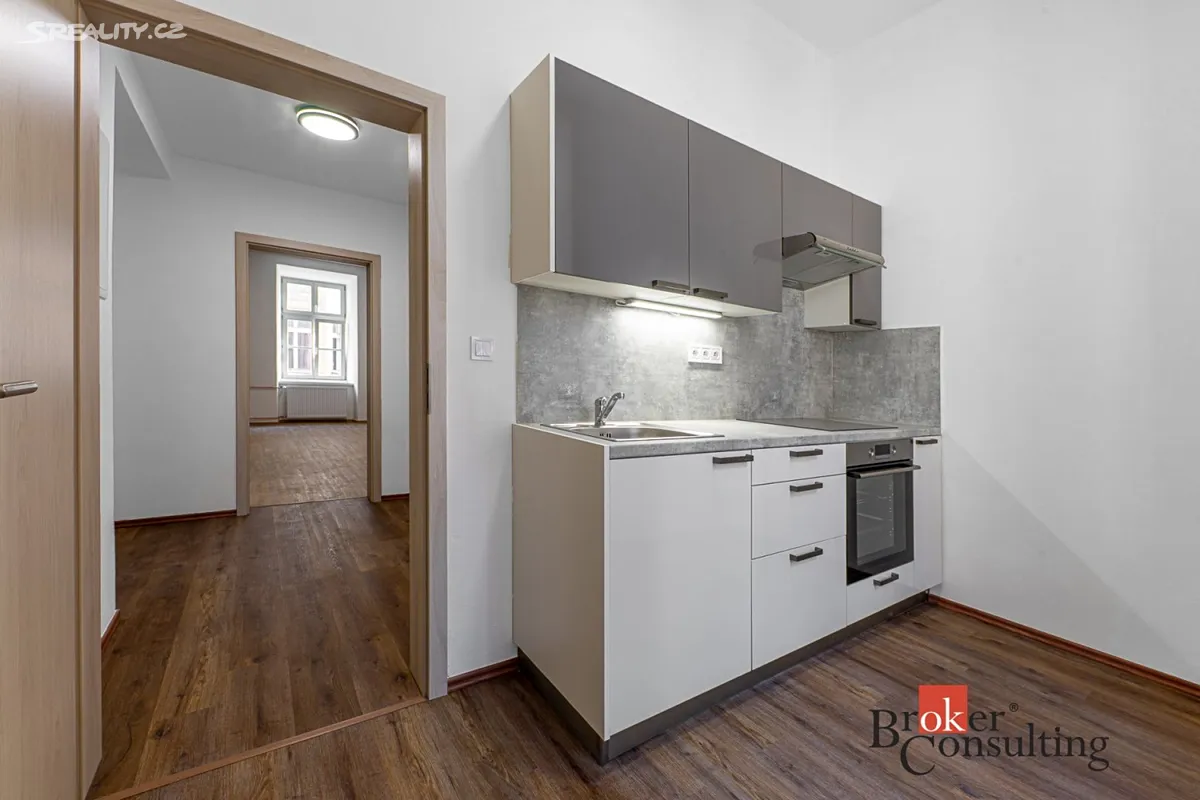 Pronájem bytu 1+1 36 m² - Widok 3