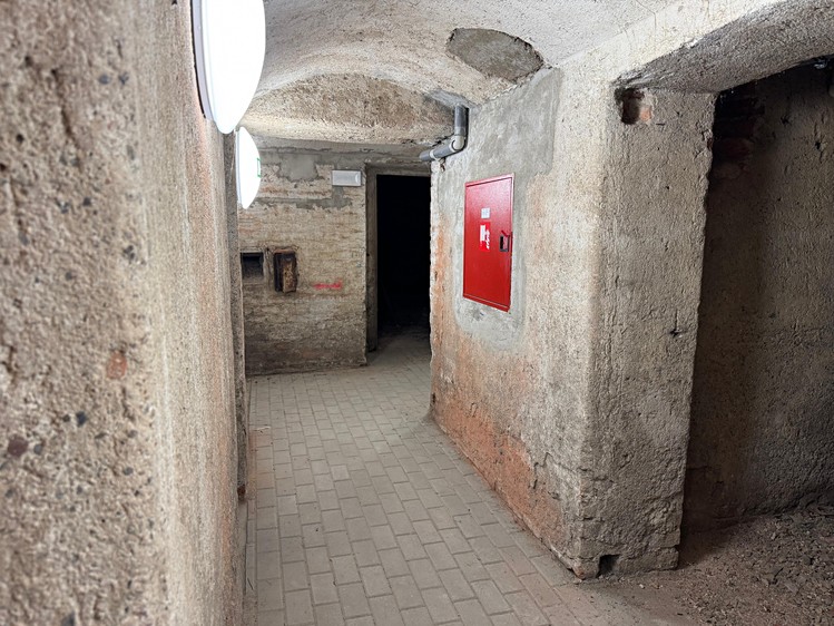 Prodej komerčního prostoru, 187 m² (5 z 10)