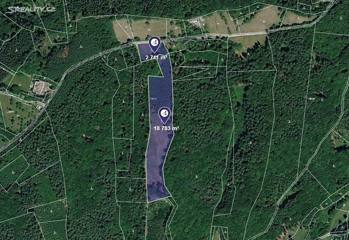 Prodej lesa 21494 m², Všemina • Sreality.cz