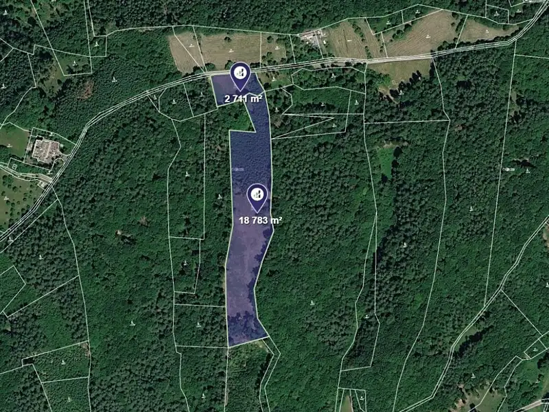 Prodej lesa 21494 m², Všemina – náhled fotky 1