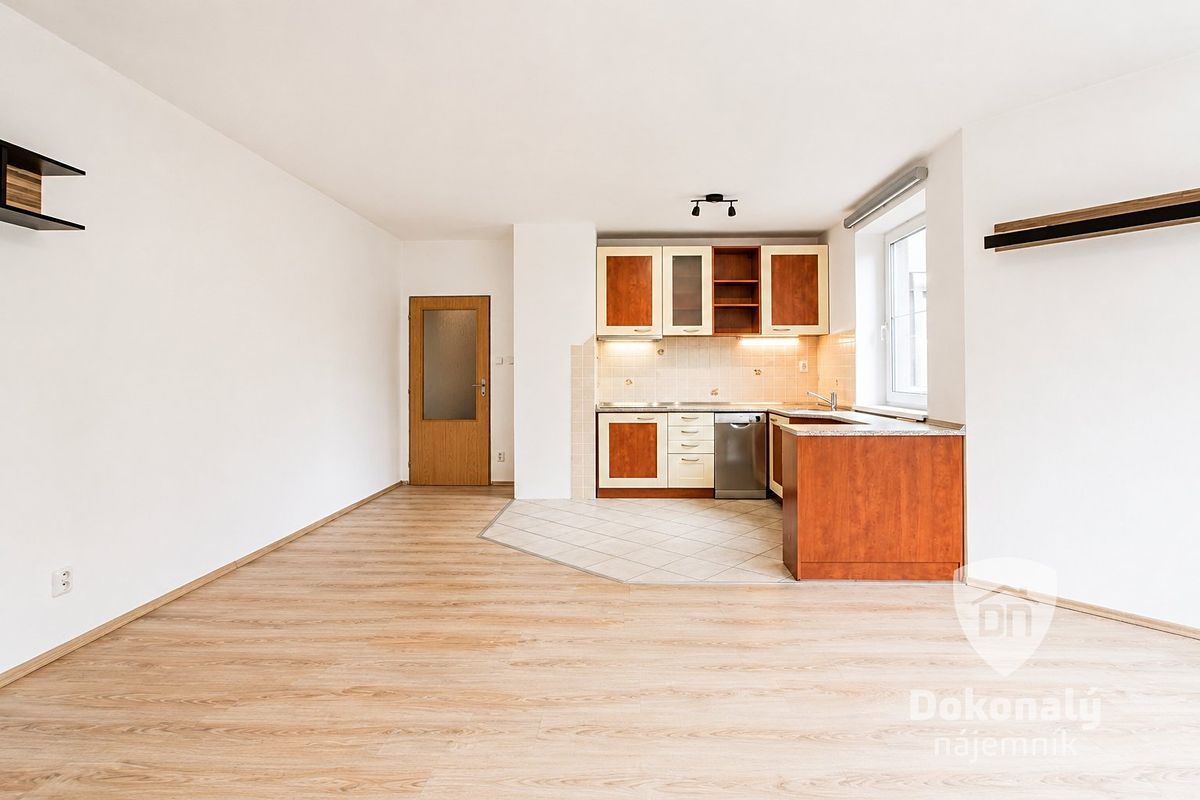Pronájem bytu 1+kk 50 m²