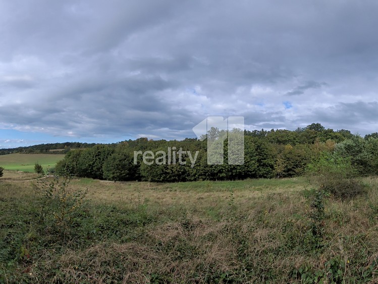 Grundstück zum Kauf, 5.935 m² (6 von 24)