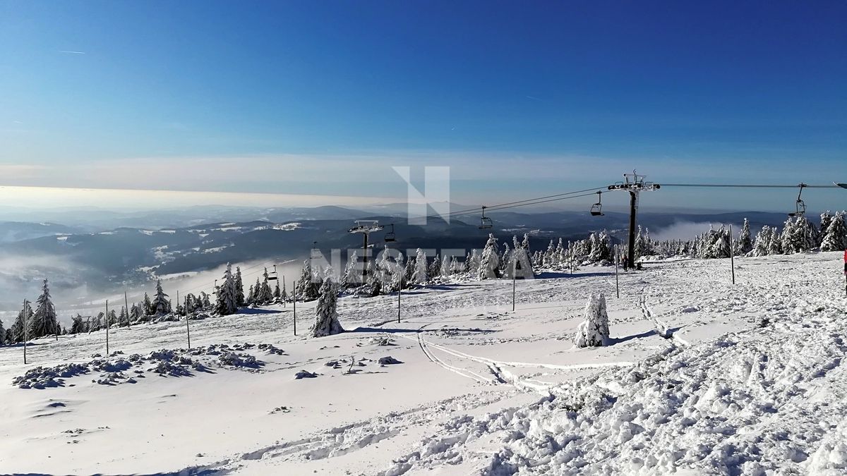Prodej stavebního pozemku 1290 m² – fotografie 3