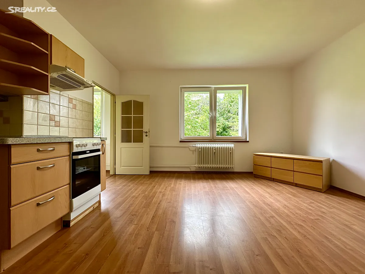 Pronájem bytu 2+kk 41 m², Velké Popovice