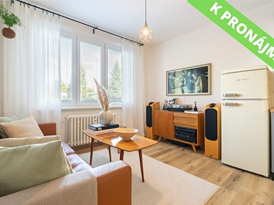 Pronájem bytu 1+1 36 m²