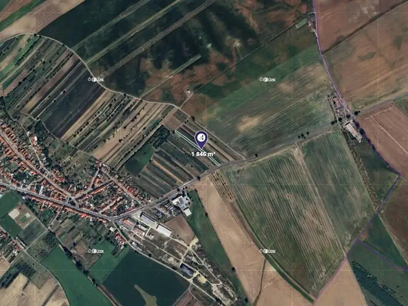 Prodej sadu, vinice 1846 m², Šardice – náhled fotky 2