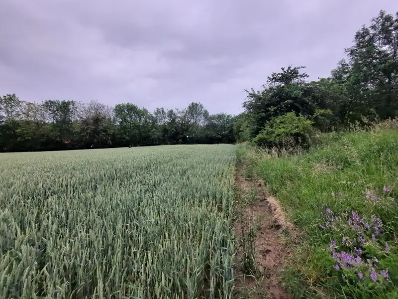 Prodej stavebního pozemku 7646 m², Želenice – náhled fotky 3