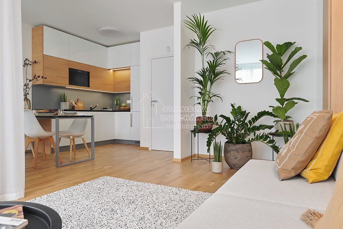 Pronájem bytu 1+kk 42 m²