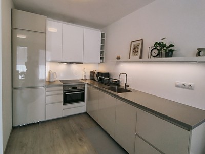 Pronájem bytu 1+kk 56 m²