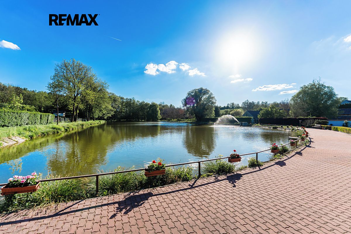 Prodej rodinného domu 460 m², pozemek 35000 m² – fotografie 4