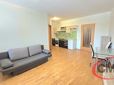 Pronájem bytu 2+kk 44 m²