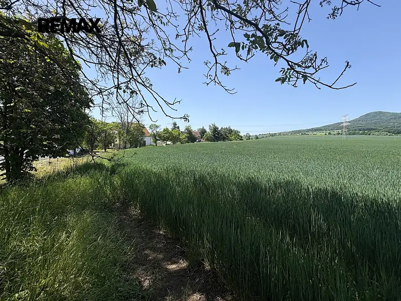 Prodej stavebního pozemku 831 m², Liběšice – náhled fotky 2