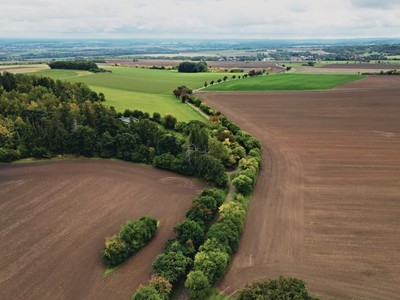 Prodej  pole 18 647 m²