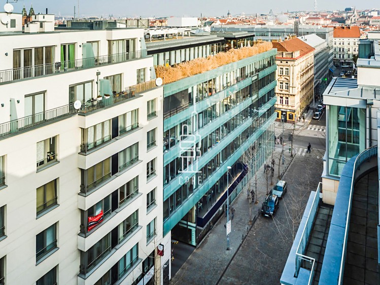 Pronájem komerčního prostoru, 848 m² (8 z 8)