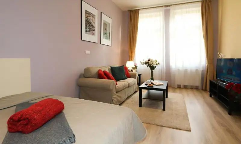 Pronájem bytu 1+1 40 m², Praha – náhled fotky 2