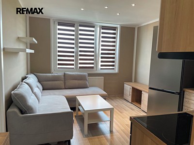 Pronájem bytu 1+1 36 m²