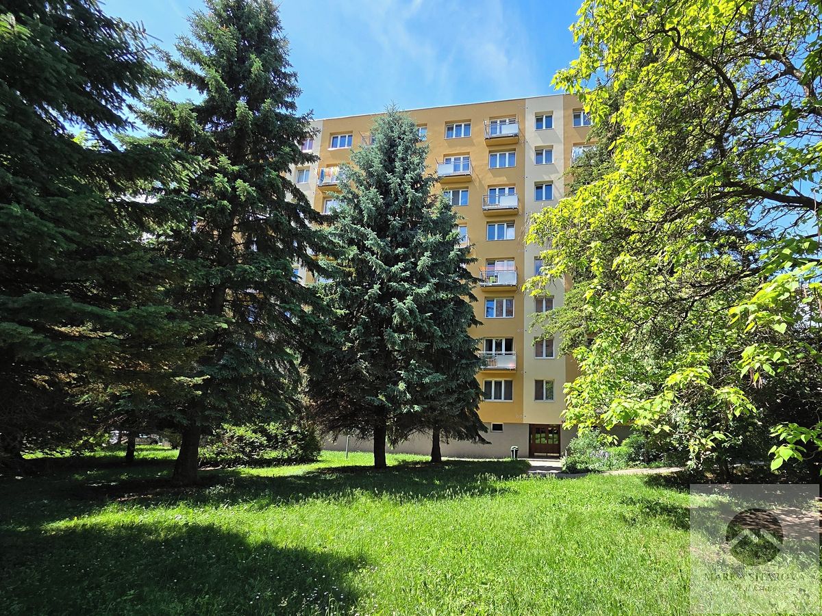 Prodej bytu 3+1 66 m²