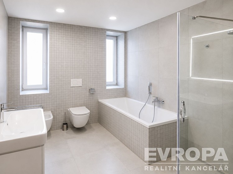 Pronájem domu, 350 m² (8 z 18)