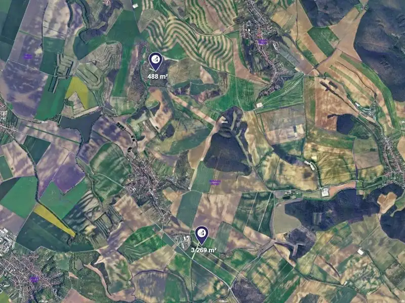 Prodej pole 3757 m², Borkovany – náhled fotky 3