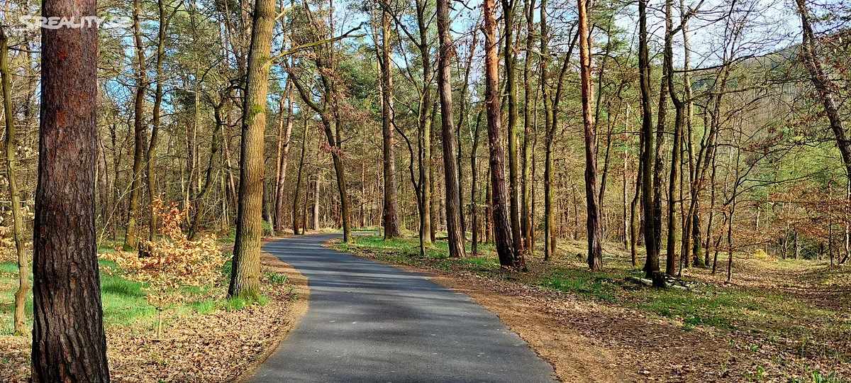 Prodej stavebního pozemku 842 m², Dalovice