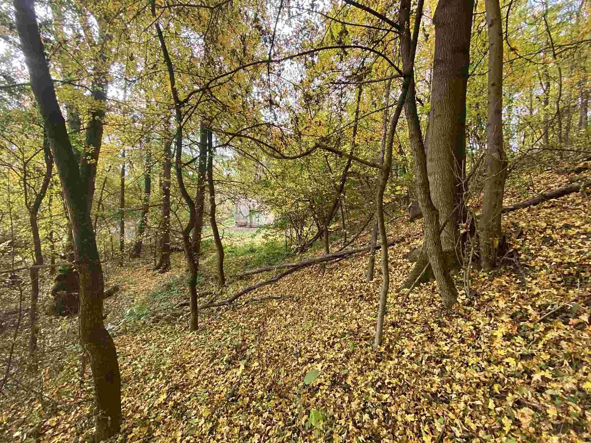 Prodej pozemku 2639 m² – fotografie 2