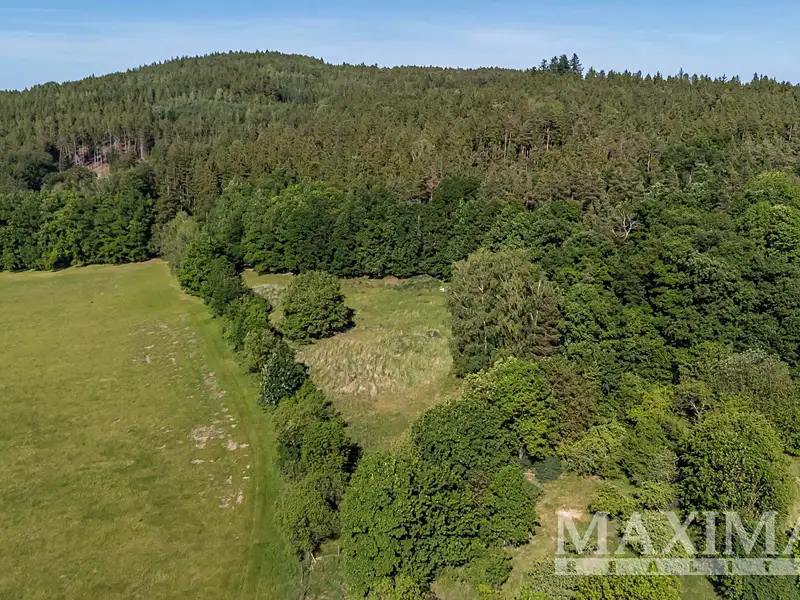 Prodej stavebního pozemku 4612 m², Hluboš – náhled fotky 3