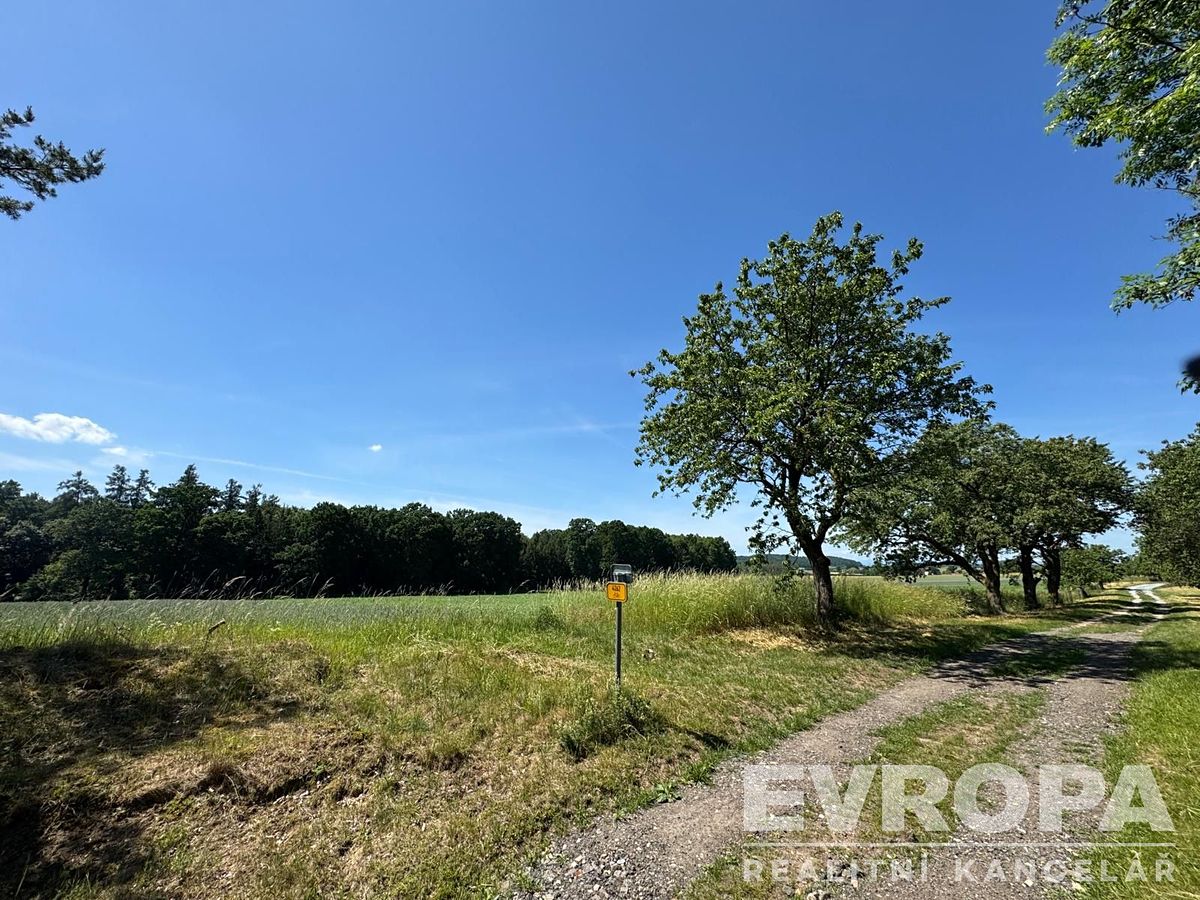 Prodej pole 7494 m² – fotografie 3