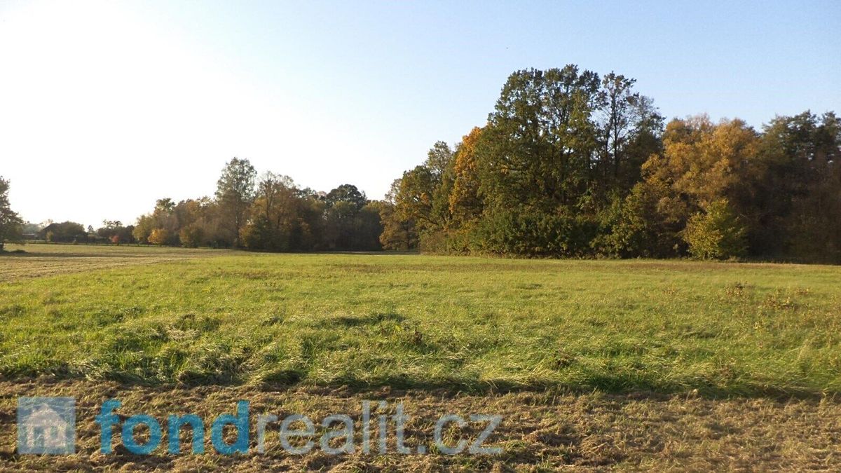 Prodej pozemku 6981 m² – fotografie 2
