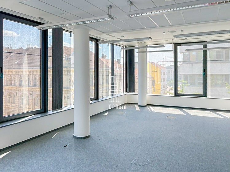 Pronájem komerčního prostoru, 848 m² (2 z 8)