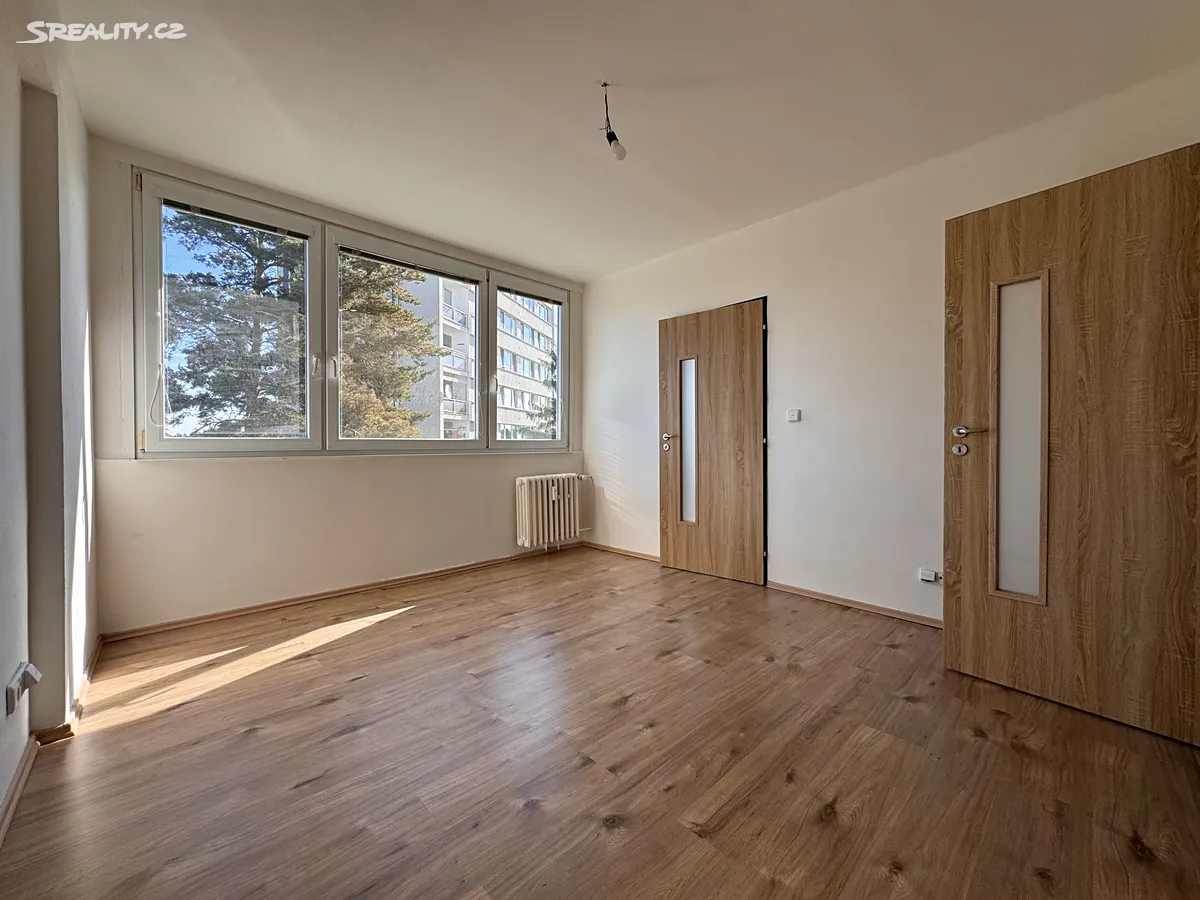 Pronájem bytu 2+1 55 m² – pohled 2