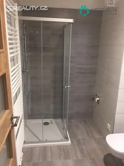 Pronájem bytu 1+kk 36 m² - Widok 4