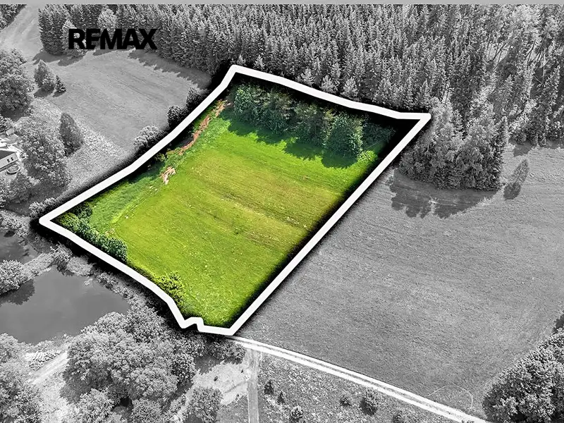 Prodej stavebního pozemku 7993 m², Červená Voda – náhled fotky 2