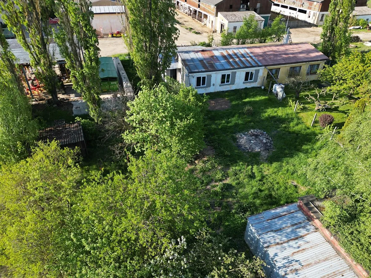 Fotka 5 z 14