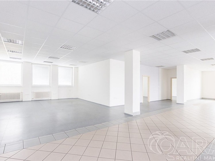 Комерційне приміщення в оренду, 549 м² (14 з 30)