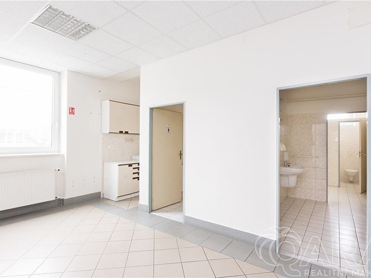 Комерційне приміщення в оренду, 549 м² (23 з 30)