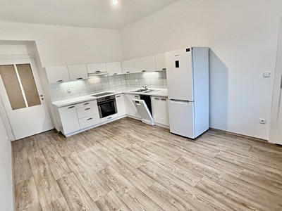 Pronájem bytu 1+1 50 m²
