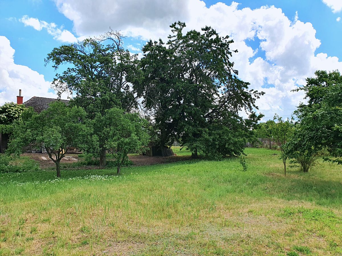 Prodej rodinného domu 75 m², pozemek 1743 m² – fotografie 5