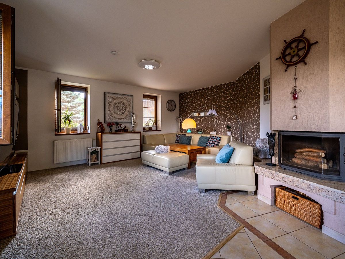 Prodej rodinného domu 250 m², pozemek 1350 m² – fotografie 3