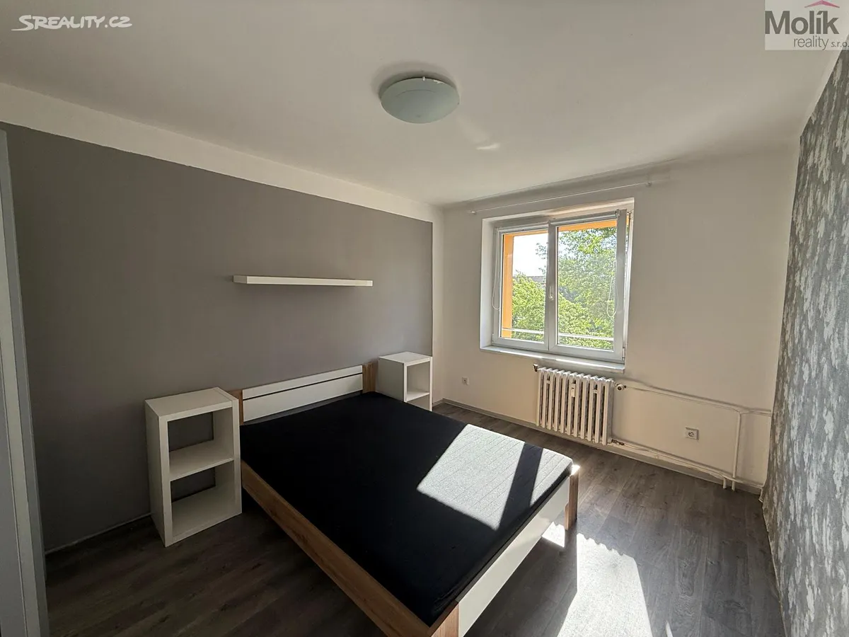 Pronájem bytu 3+1 60 m² - More