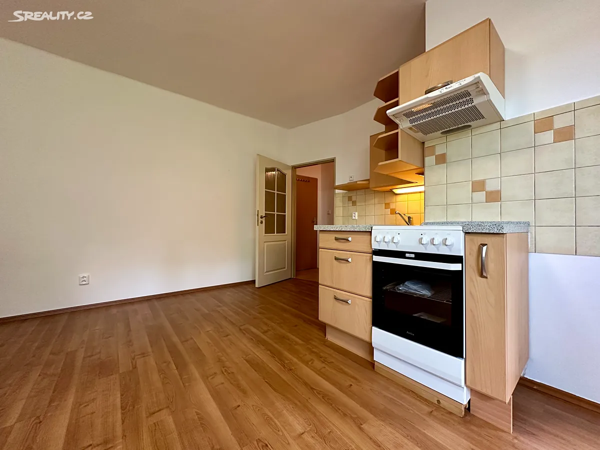 Pronájem bytu 2+kk 41 m² - Widok 3