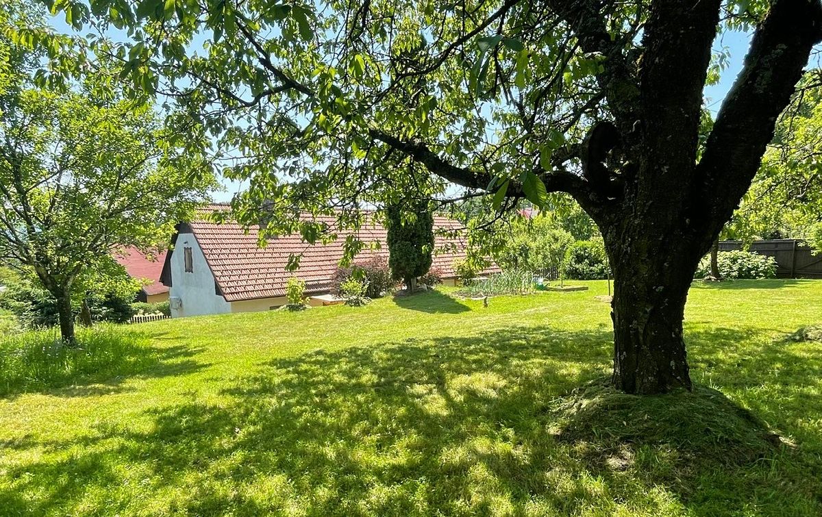 Prodej rodinného domu 120 m², pozemek 1559 m² – fotografie 2
