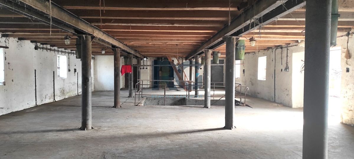 Prodej rodinného domu 989 m², pozemek 1202 m² – fotografie 5