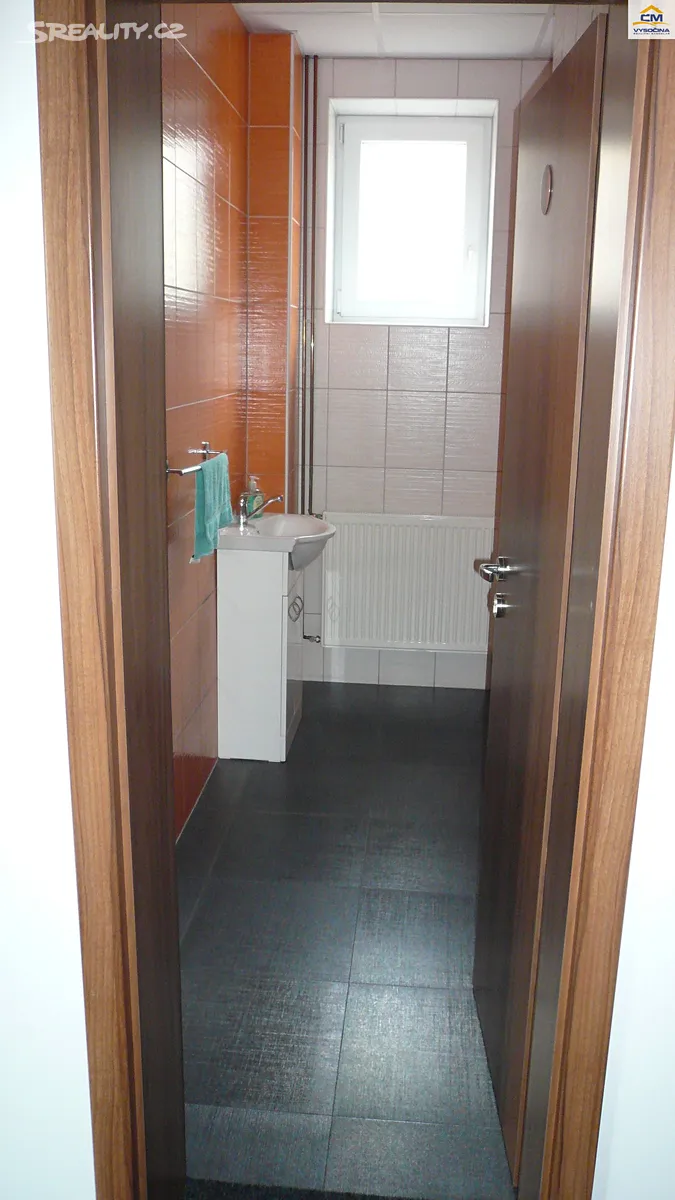 Pronájem obchodního prostoru 300 m² – další
