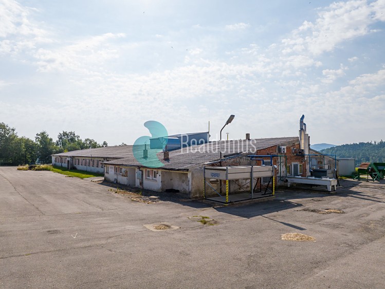 Комерційне приміщення в оренду, 2 517 м² (6 з 15)